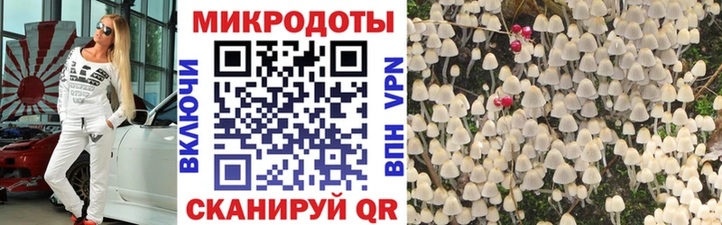 Псилоцибиновые грибы ЛСД  Тбилисская 